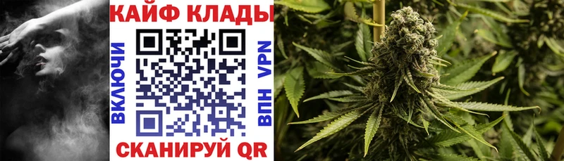Купить закладку Чебаркуль Alpha-PVP  Конопля  Мефедрон  ГАШ 