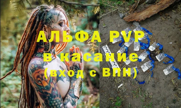 a pvp Пересвет