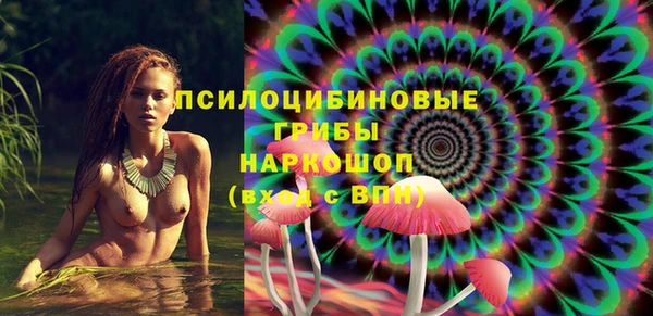 a pvp Пересвет