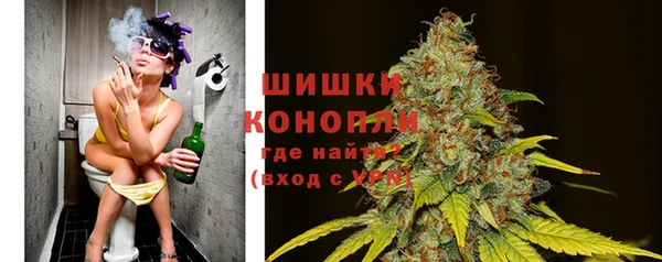 ГАЛЛЮЦИНОГЕННЫЕ ГРИБЫ Переславль-Залесский