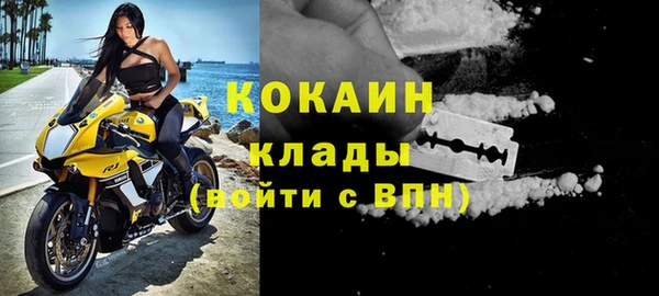 ГАЛЛЮЦИНОГЕННЫЕ ГРИБЫ Переславль-Залесский