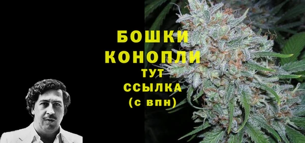 a pvp Пересвет