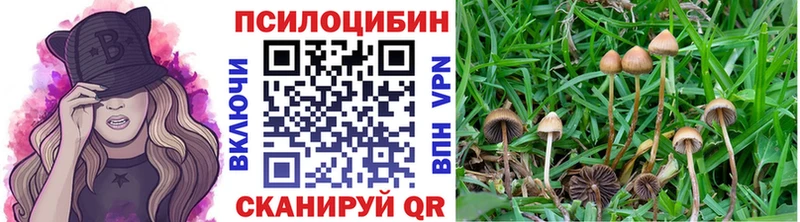 Псилоцибиновые грибы ЛСД  купить наркотик  Чебаркуль 